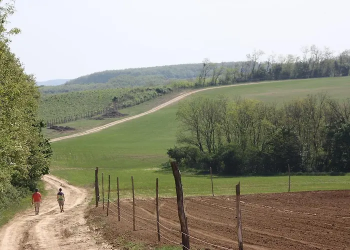 Ferienpark Robiniapark *