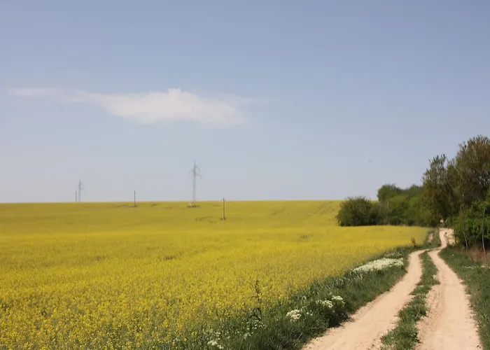 Ferienpark Robiniapark