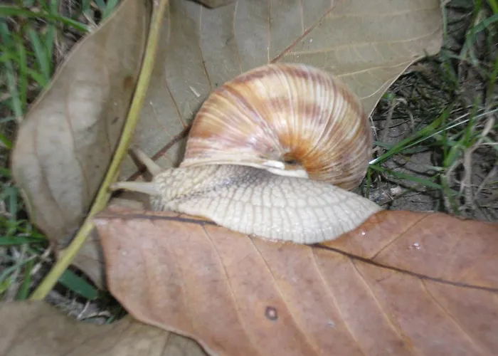 Ferienpark Robiniapark Szolad